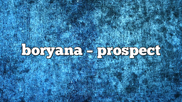 boryana – Prospect
